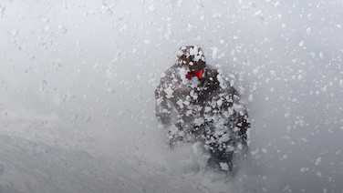 Image for: SEASON PASS